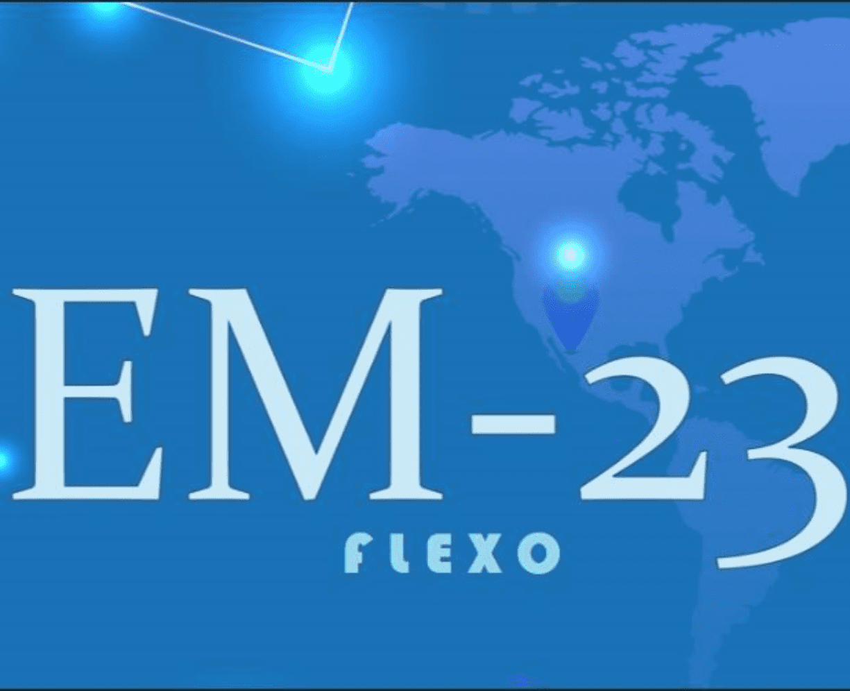 logo em flexo